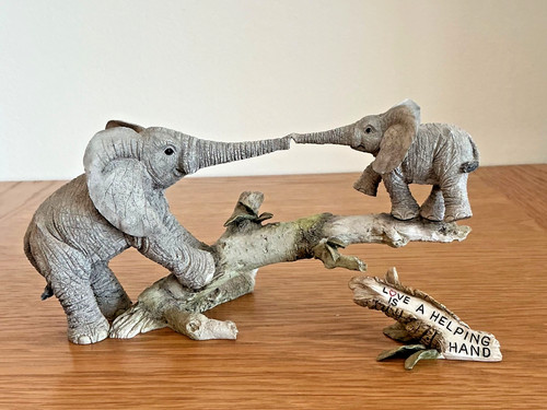 Tuskers elephants love a - love,