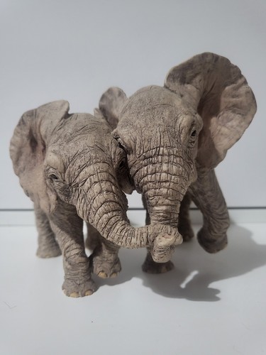 Tuskers elephant matthew and - tuskers,