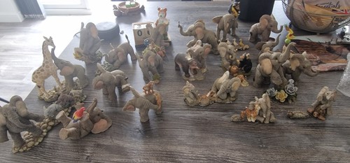 Tuskers henry henrietta - tuskers,