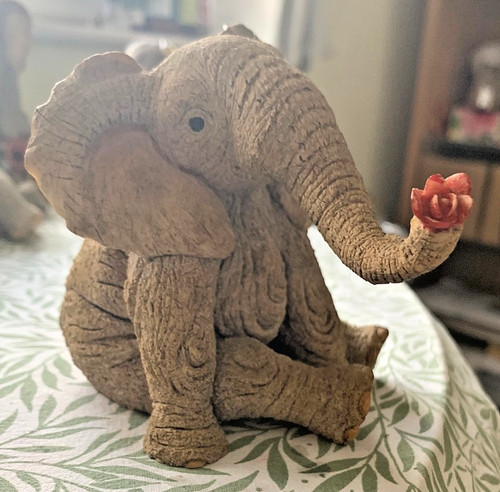 Tuskers clarence with rose - with,