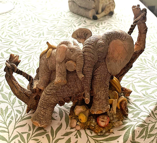 Tuskers love a feast - love, by