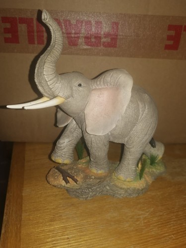Ca00451 tuskers proud to - ,
