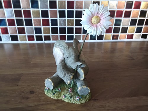 Tuskers forever blooming for - tuskers,