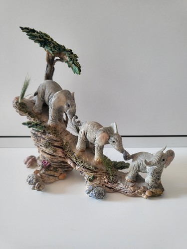 Tuskers dizzy heights - tuskers,