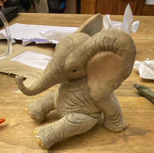 Tusker baby elephant - baby,