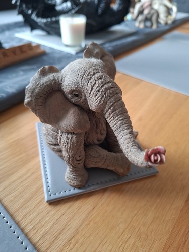 Tuskers clarence with - rose, (
