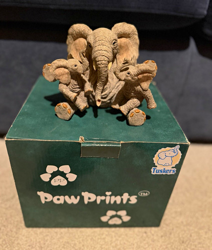 Paw prints elephant - elephant, family