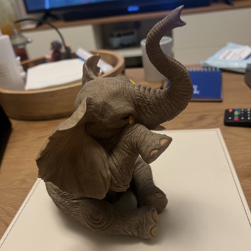 Tuskers elephant maxwell - *tuskers, 'maxwell'
