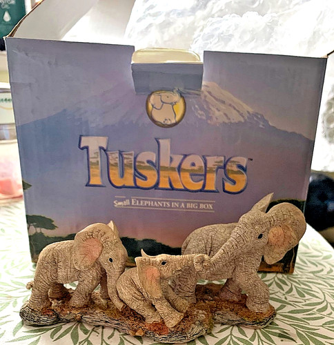 Tuskers diggin elephant - diggin',