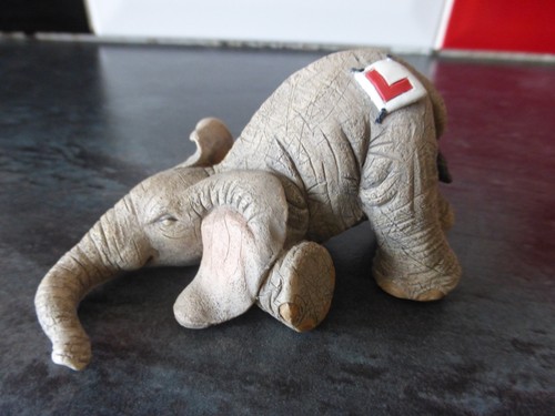 Tuskers 91283 learning - learning, to