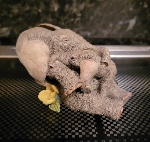 Tuskers love cuddle - is, cuddle"