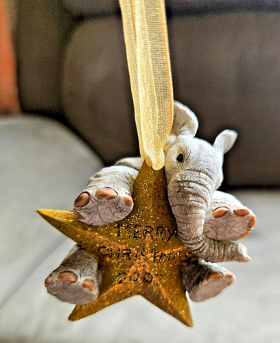 Tuskers wish upon star 91356 - tuskers, a