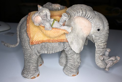 Tuskers elephants precious - tuskers,
