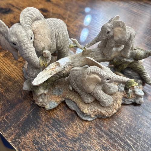 Tuskers brunch time by - :,
