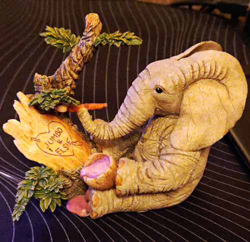 Tuskers elephant - tuskers,