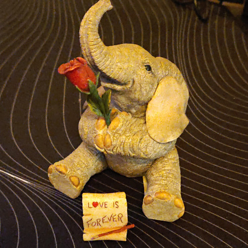 Tuskers elephant - tuskers,