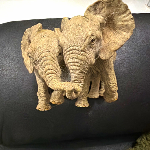Tuskers matthew luke - luke, hand